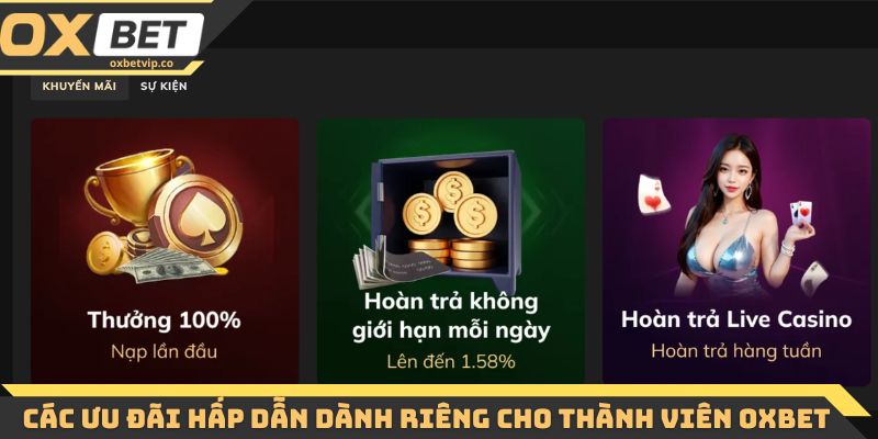 Trang chủ 16 Các ưu đãi hấp dẫn dành riêng cho thành viên Oxbet